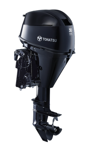 Motor 30 CV DL Punho 0